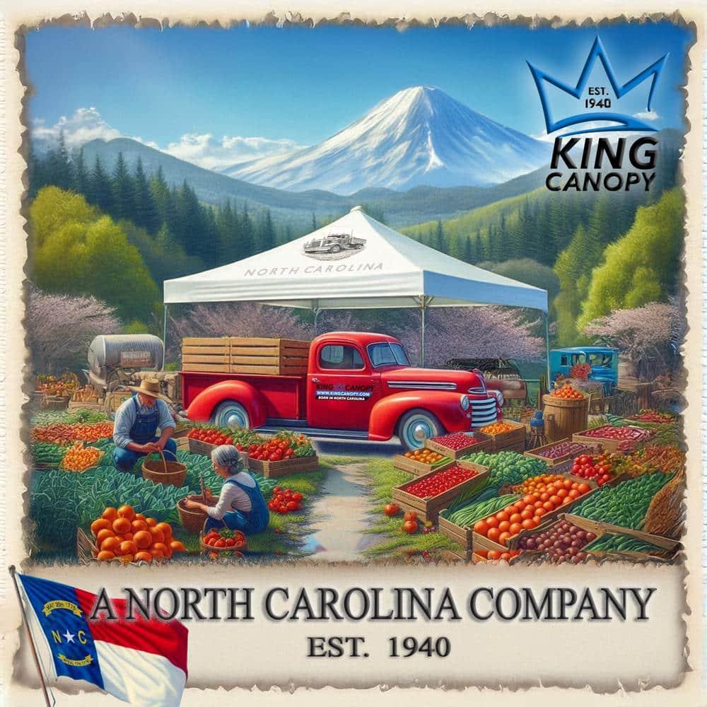 King Canopy  Hercules 18ft x 27ft, 2in Hammertone Steel Frame w/ buttons, 10-Leg, Carport, White
