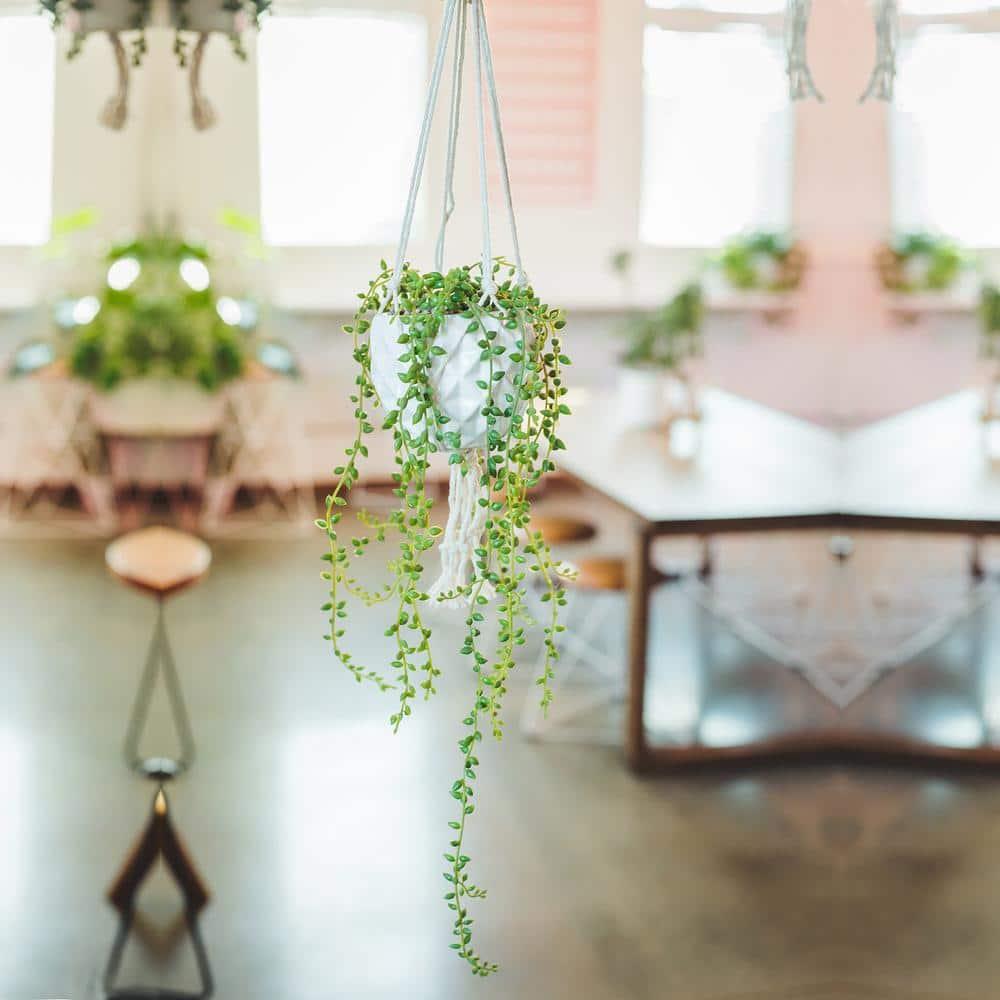 32 in. Artificial String of Pearls in Macrame Hanging Ceramic Planter