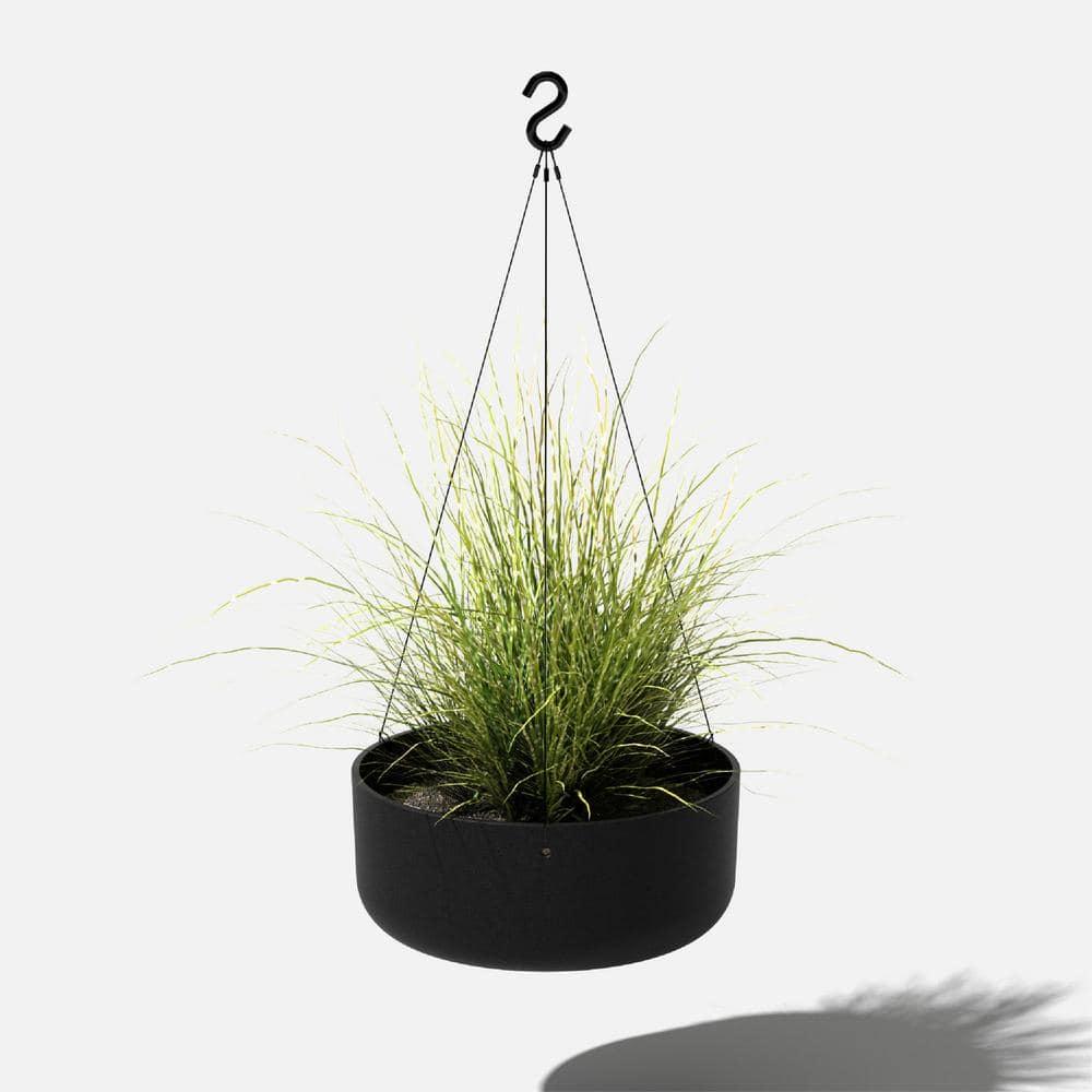 Mason Series Hanging Kona Bowl Planter