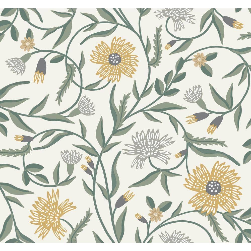 Aster Wallpaper