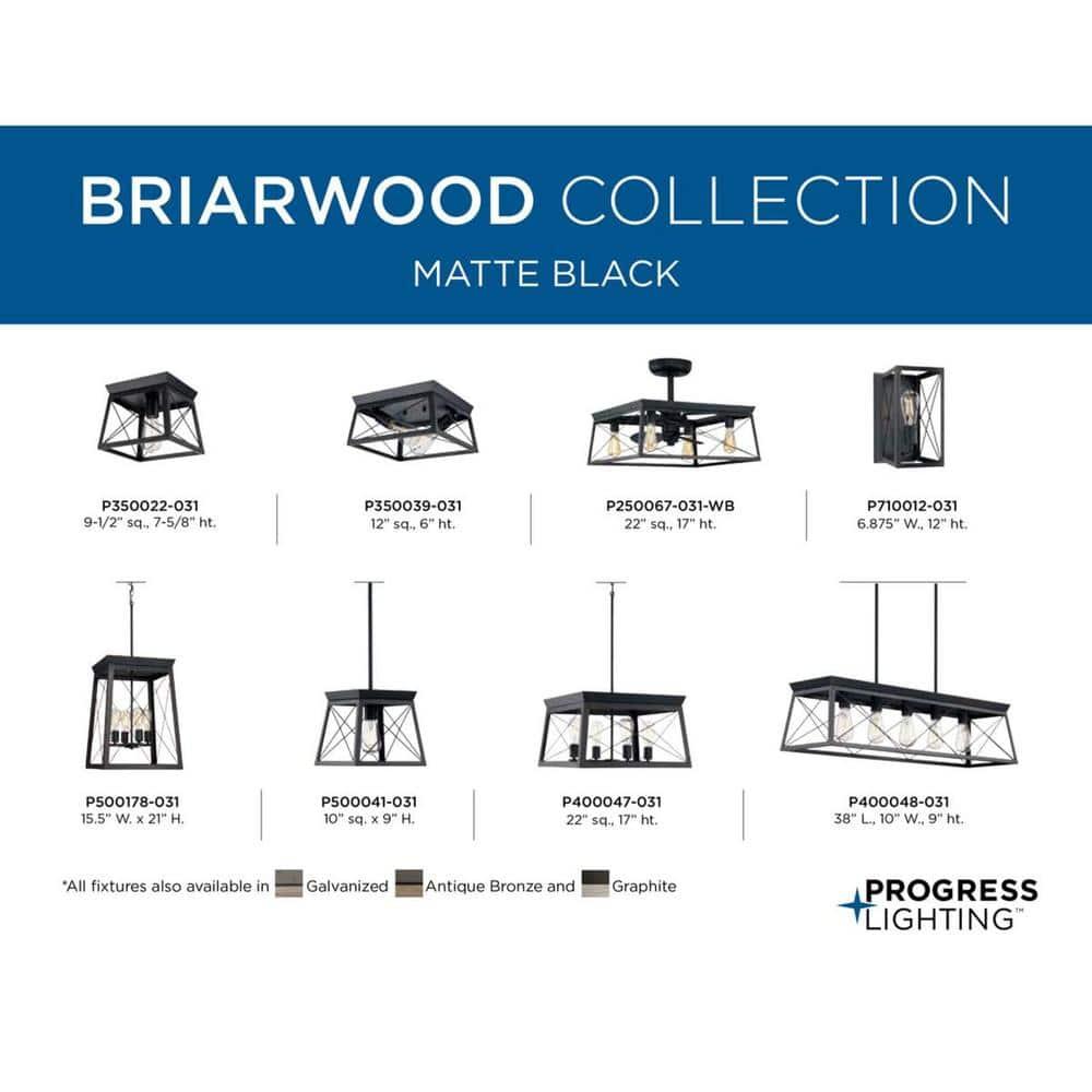 Progress Lighting Briarwood 1-Light Mini-Pendant, Steel, Textured Black, Faux-Painted Wood Enclosure