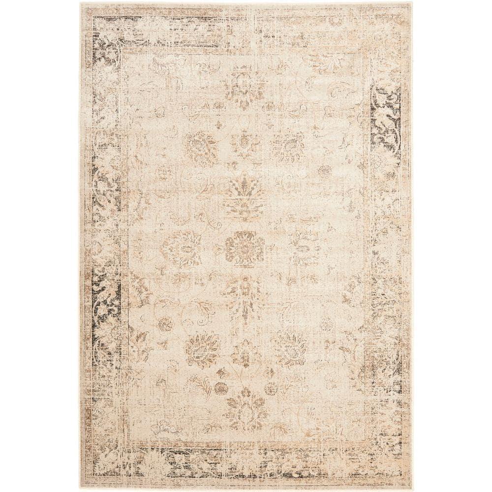 Vintage Stone 8 ft. x 10 ft. Distressed Border Area Rug