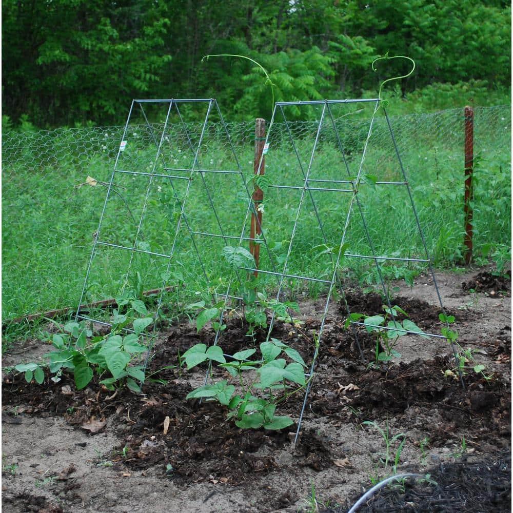 Glamos Wire 42 in. Steel A-Frame Vegetable and Plants Plant Support Grow Though Grid (5 Pack)