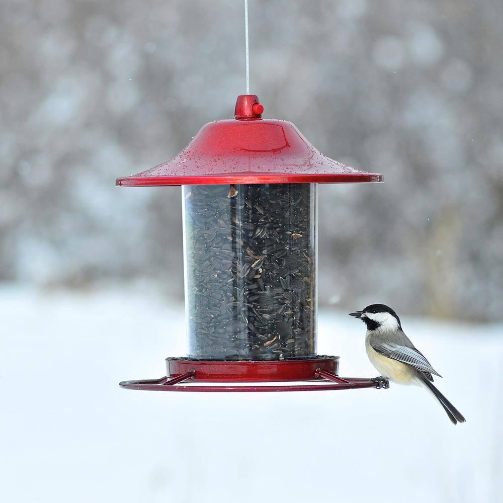 Perky-Pet Wild Bird 2 lb Metal/Plastic Panorama Bird Feeder 1 ports Model No 312R (Case of 2)