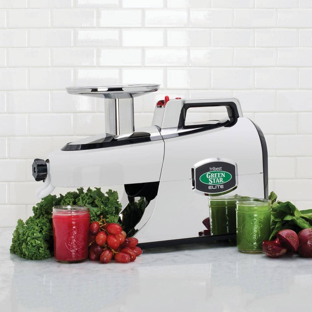 Tribest Greenstar Elite Jumbo Twin Gear Slow Masticating Juicer – Silver