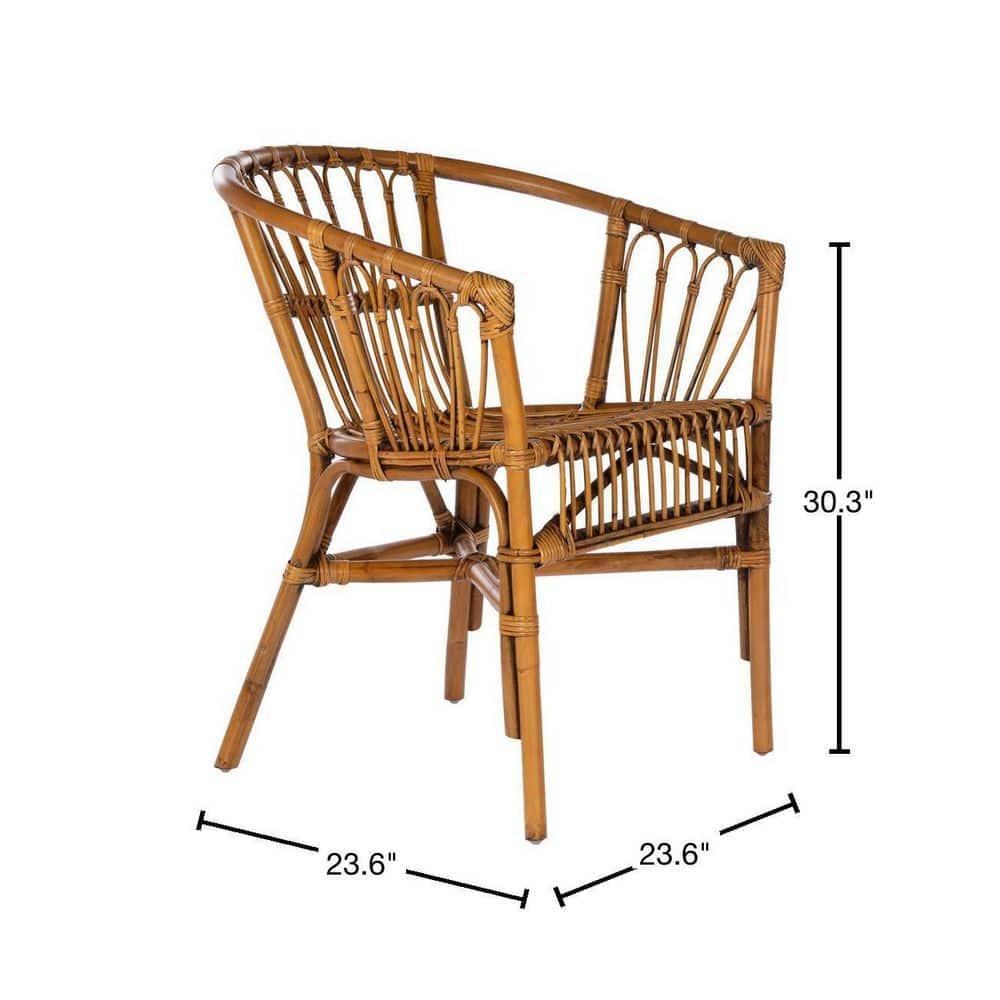 Adriana Rattan Accent Chair - Set of 2 - ACH6505 - Honey Brown Wash - Safavieh