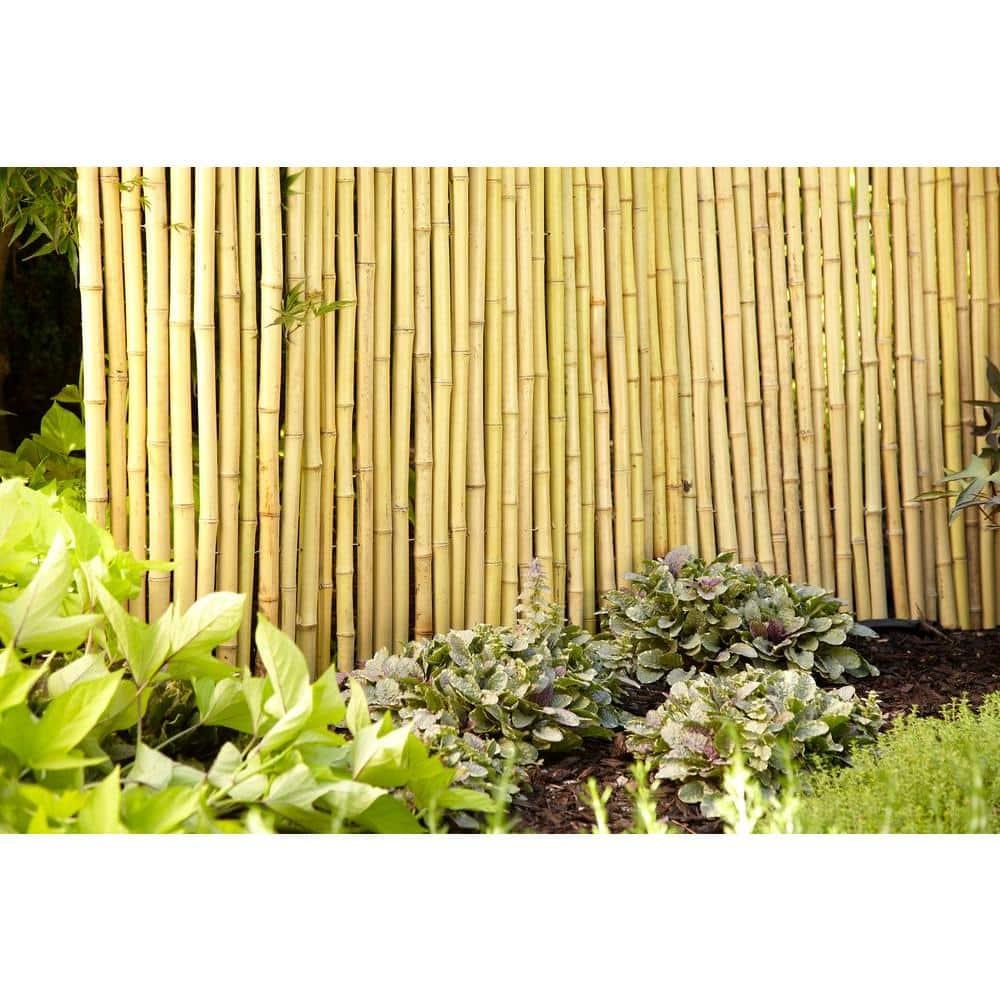 4 ft. H x 6 ft. W Natural Bamboo Fence
