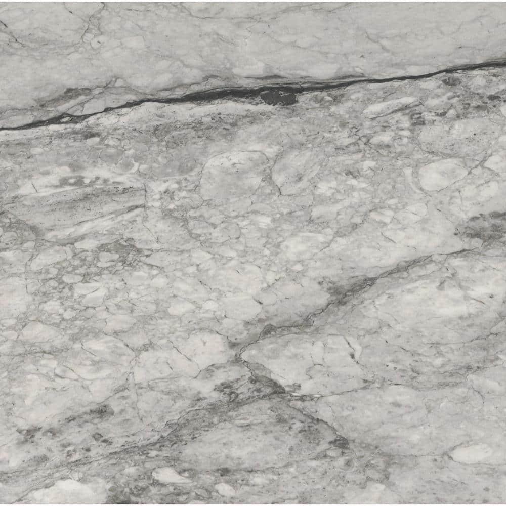 Ackland Zola 24 in. x 24 in. Matte Porcelain Marble Look Floor and Wall Tile