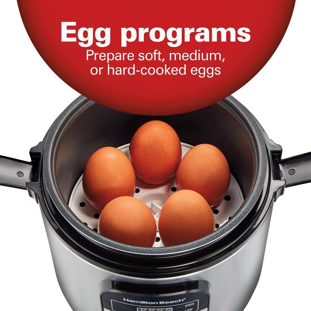 Hamilton Beach Compact Multi Cooker, 1.5 Quart, with Rice Cooker, Egg Cooker, Slow Cooker, Food Steamer and Cereal Functions, 37524