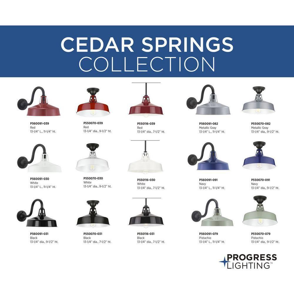 Progress Lighting, Cedar Springs, 1-Light Ceiling Light, Red Finish, White Shade