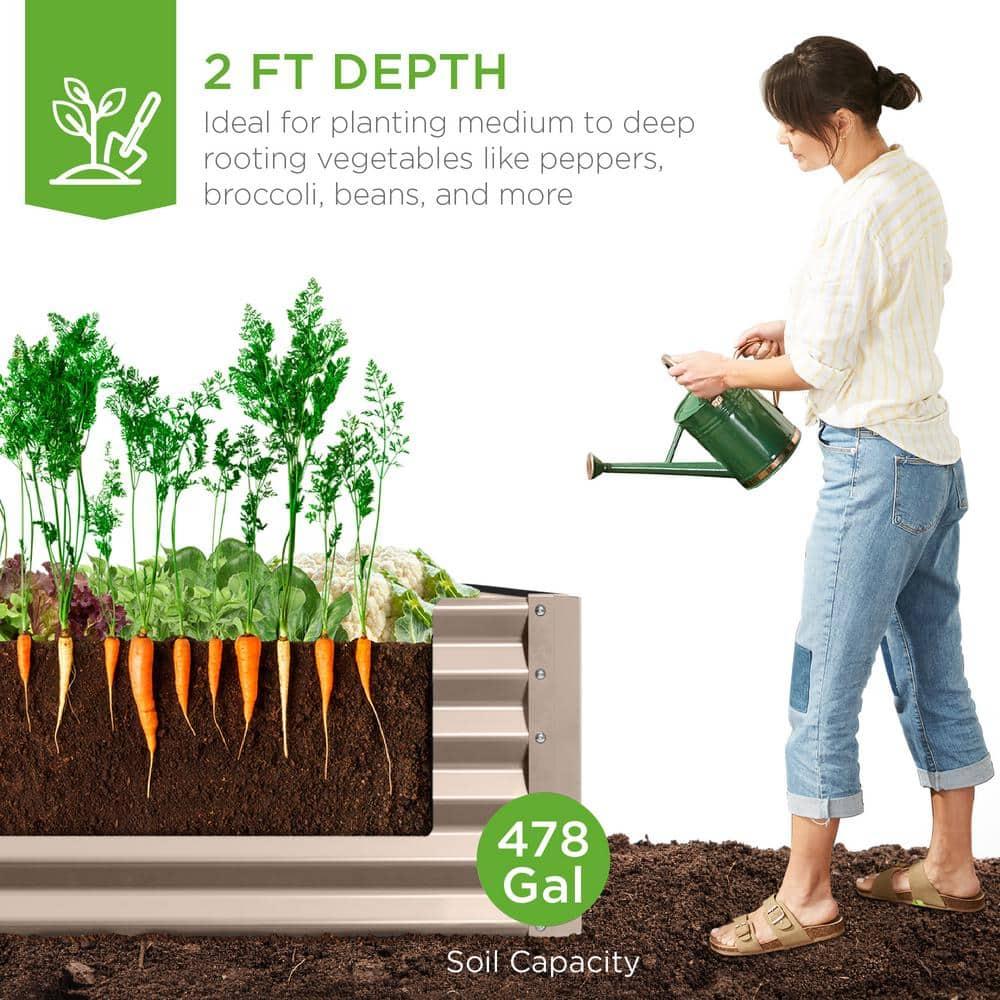 Arlmont & Co. Rosonda 8x4x2ft Outdoor Metal Raised Garden Bed, Planter Box for Vegetables, Flowers, Herbs