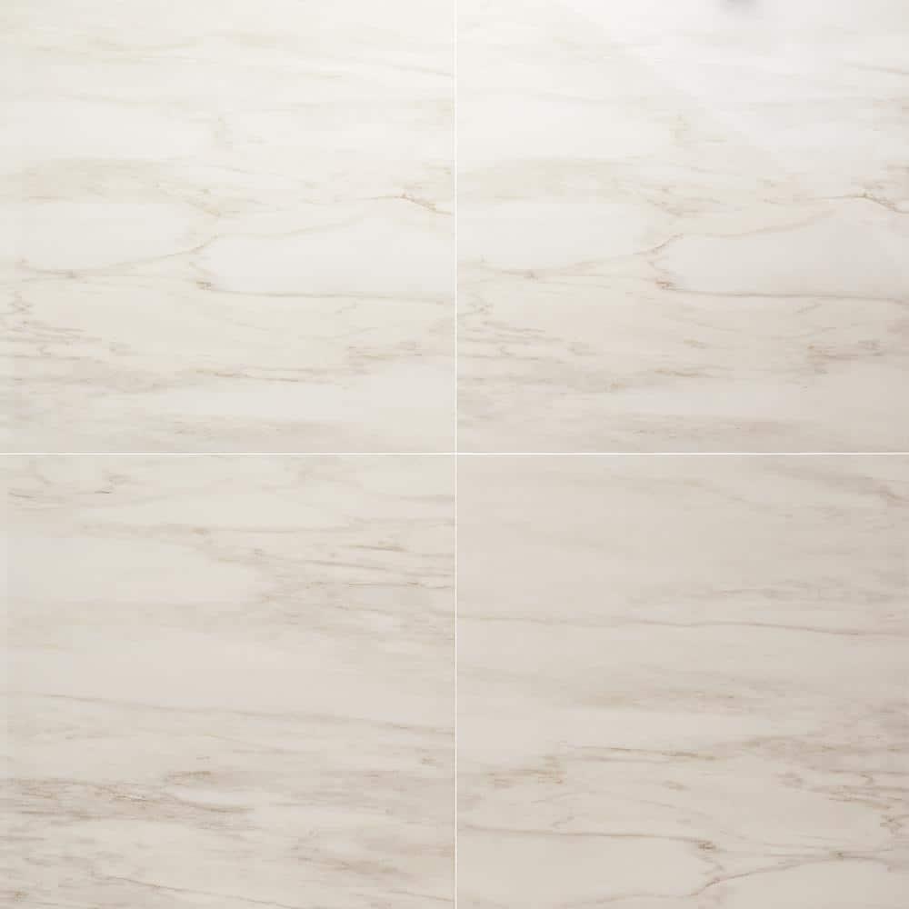 24" x 24" Polished Marble Look Porcelain Floor and Wall Tile (15.5 Sq. Ft. / Case)