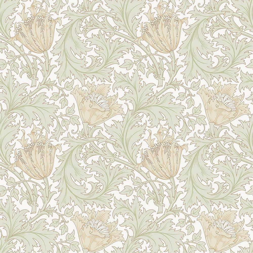 Anemone Modern Floral Wallpaper