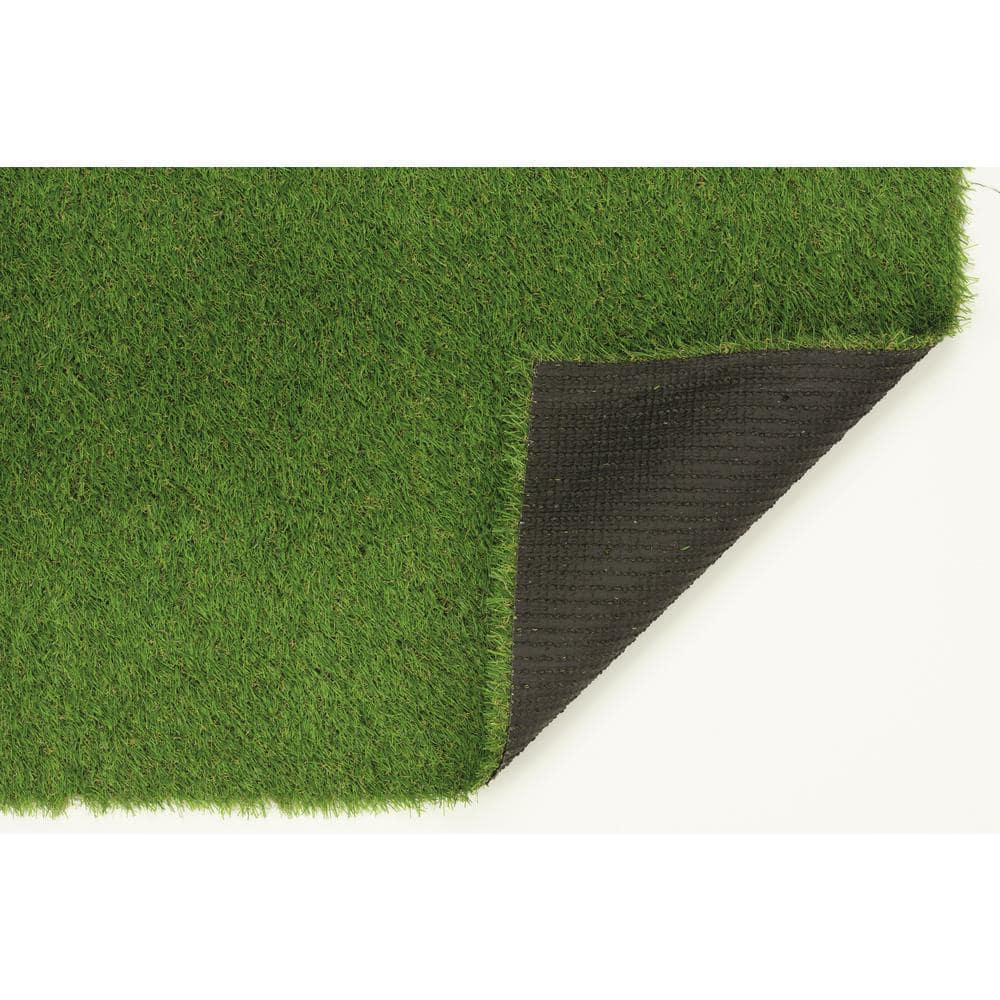 Eider & Ivory™ Thurlos Artificial Grass Synthetic Lawn Indoor Outdoor Area Rug