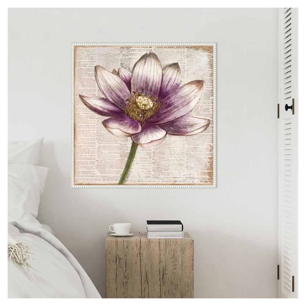 Amanti Art Defined Lotus Flower II by Patricia Pinto Canvas Wall Art Print Framed 30 x 30-in.