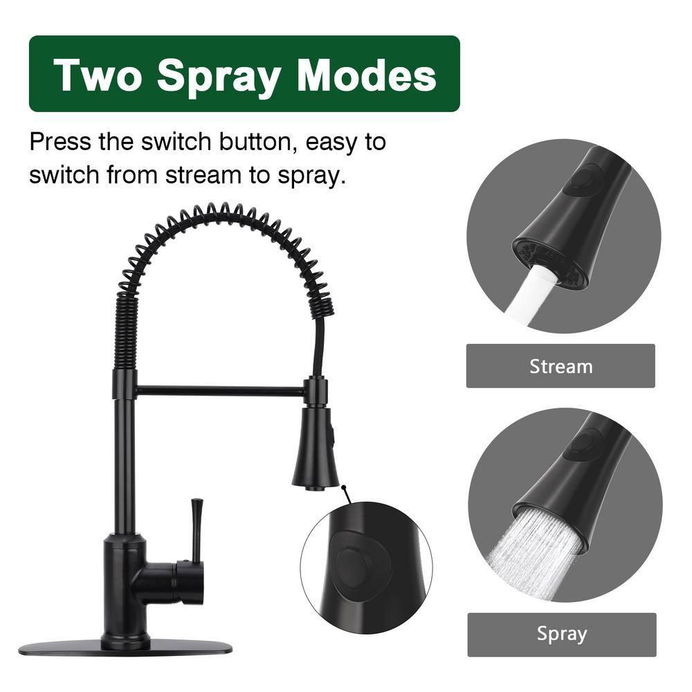 Pull Down Single Handle Kitchen Faucet