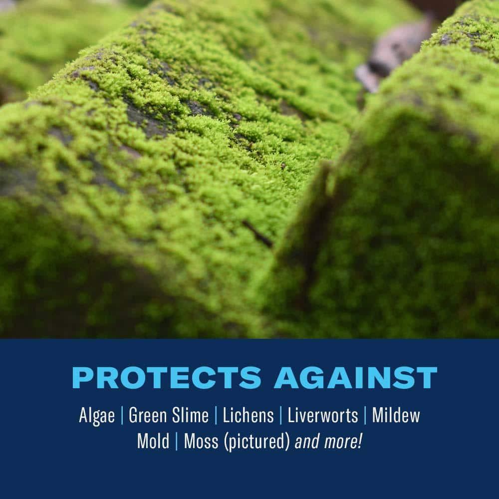BioAdvanced 32 oz. Ready-to-Spray 2-in-1 Moss and Algae Killer 704710