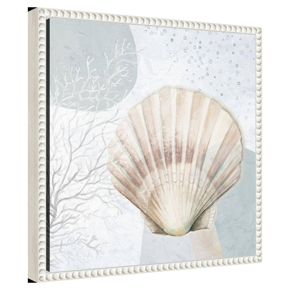 Amanti Art Ocean Oasis Bubbles Blush Scallop by Patricia Pinto Canvas Wall Art Print Framed 16 x 16-in.