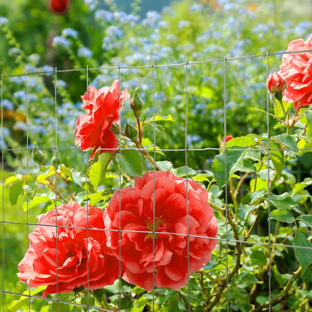 YARDGARD Metal Fencing