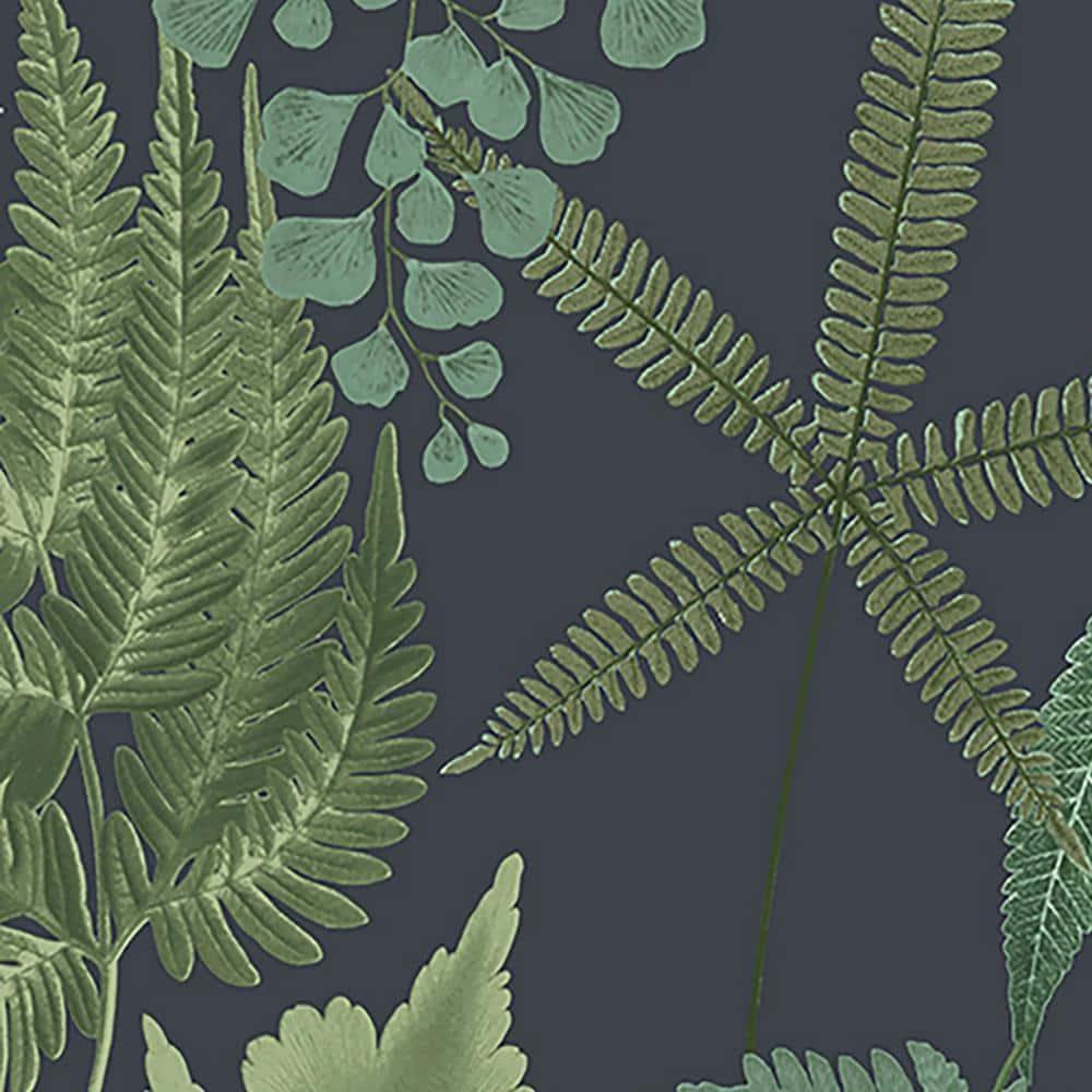 Midsummer Fern Navy Blue and Green Tropical Leaves Paste the Wall Wallpaper