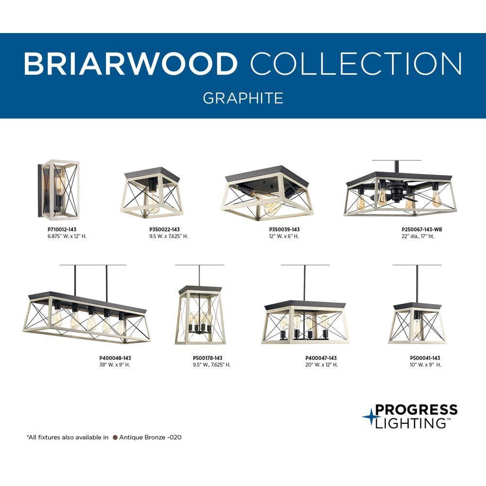 Progress Lighting Briarwood 1-Light Mini-Pendant, Steel, Graphite Finish, Faux-Painted Wood Enclosure
