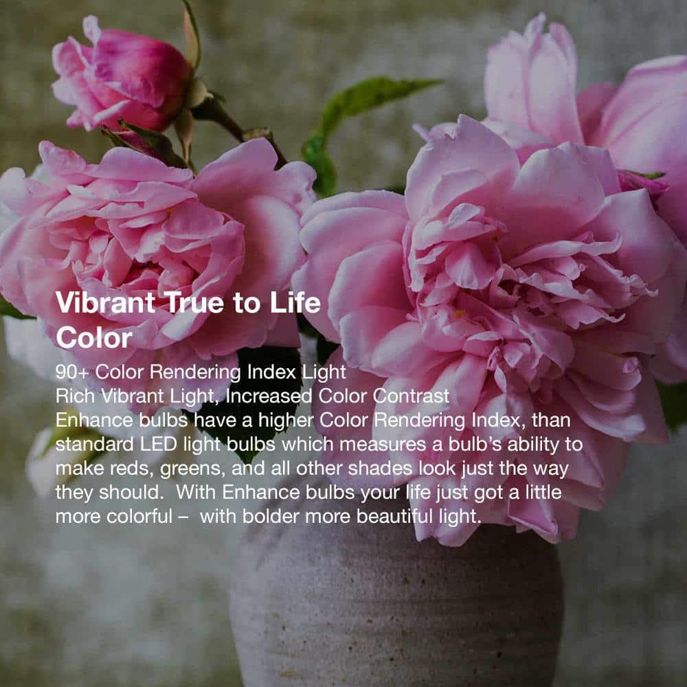 Feit Electric A19 E26 (Medium) Filament LED Bulb Daylight 100 Watt Equivalence 2 pk