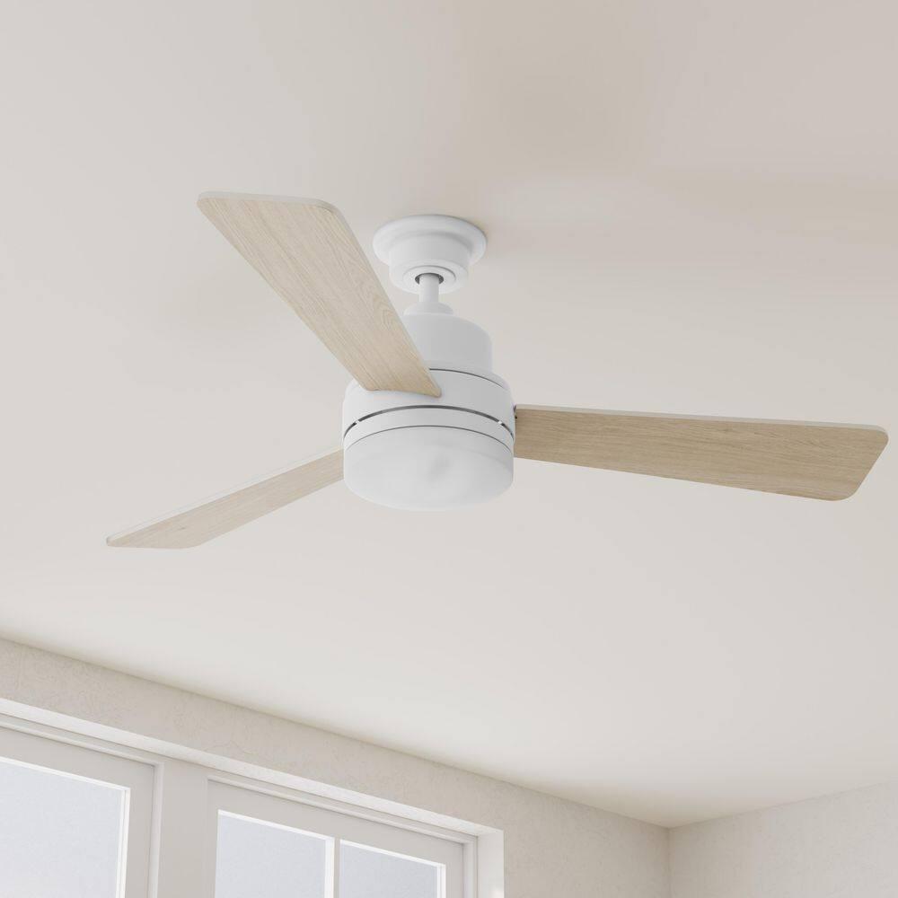 Hokku Designs Bailey-Rae 52'' Ceiling Fan with LED Lights