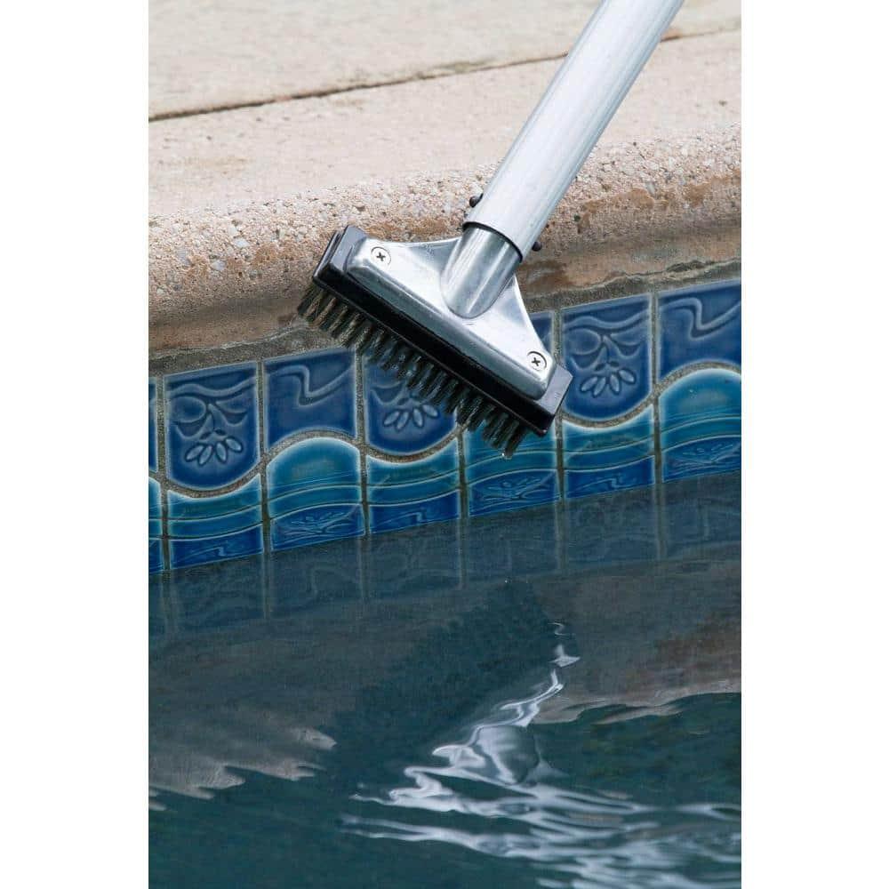 HDX 60278 5 in. Stainless Steel Bristle Swimming Pool Brush for Algae Removal