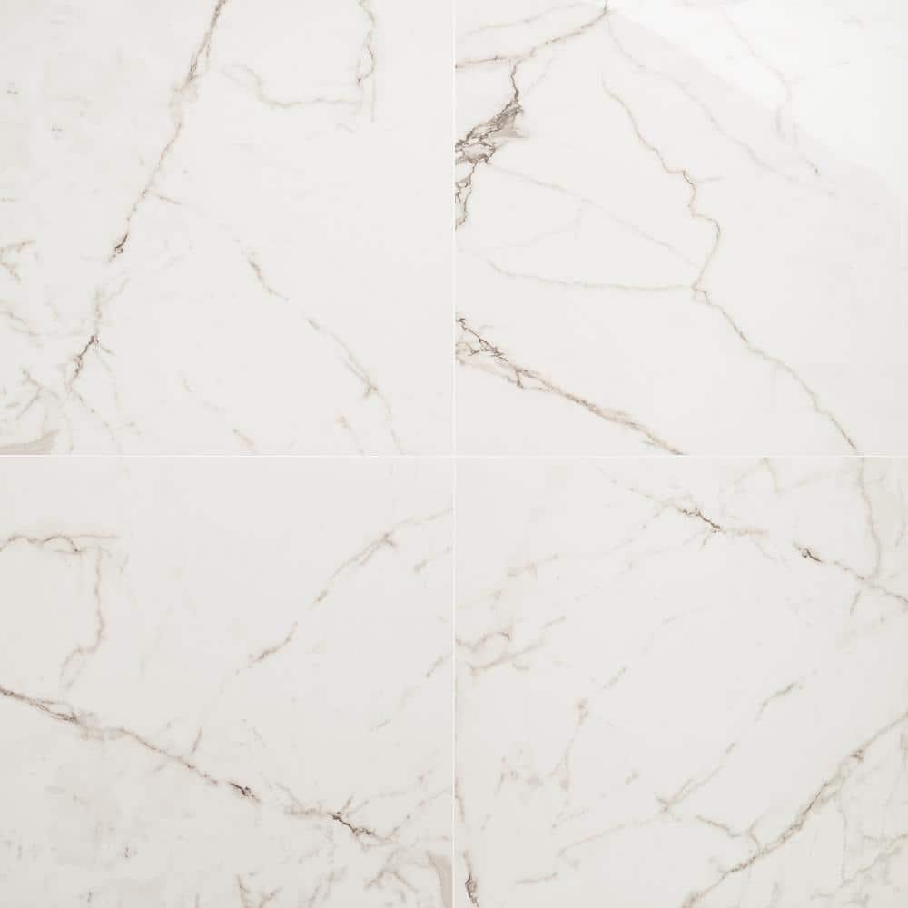 24" x 24" Polished Marble Look Porcelain Floor and Wall Tile (15.5 Sq. Ft. / Case)
