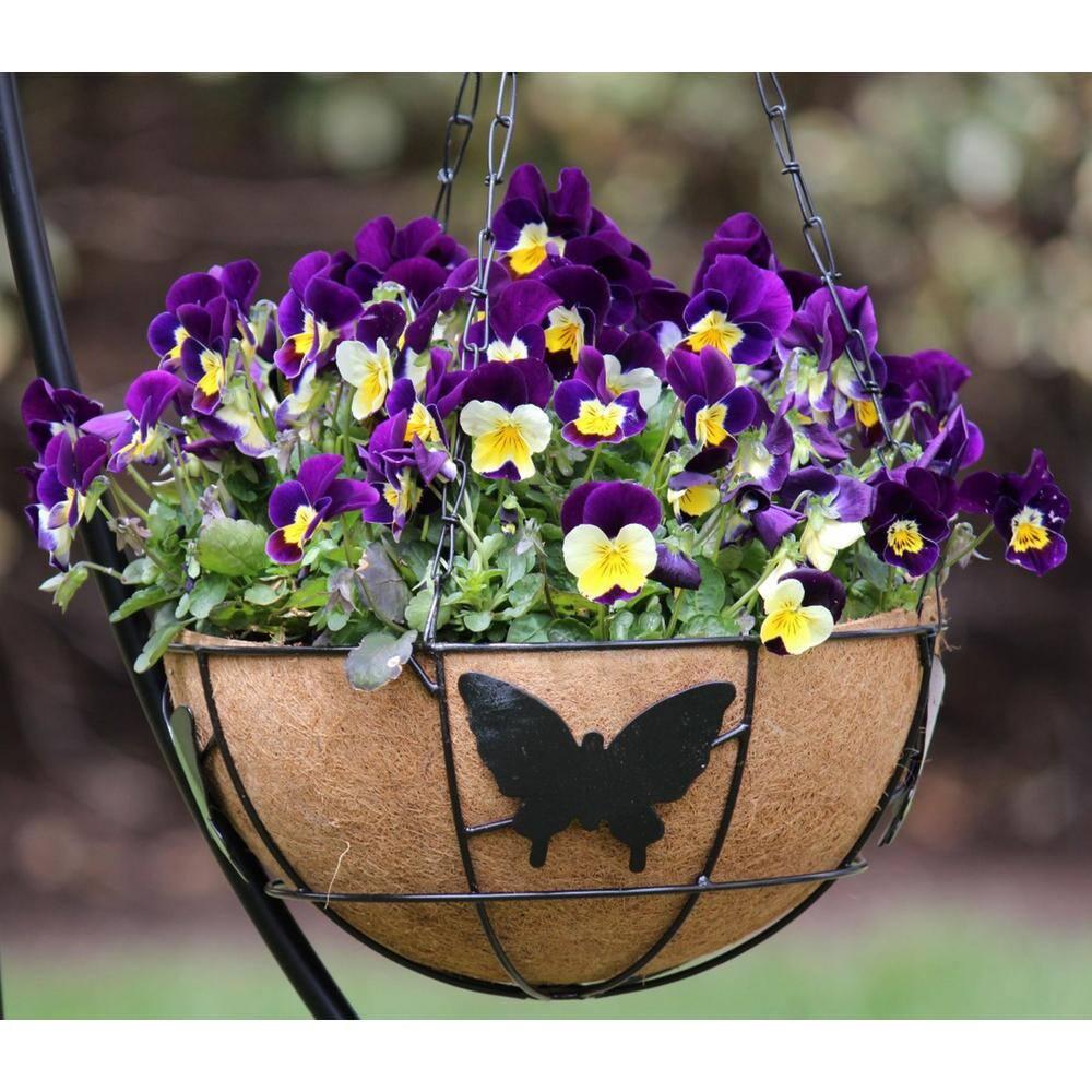 4 PCS Round Flower Pot Coconut Basket,Casewin Hanging Basket Coco Liner Natural Coconut Planter Basket Liner for Hanging Baskets at Indoor Outdoor Garden Porch Balcony (14 Inch)