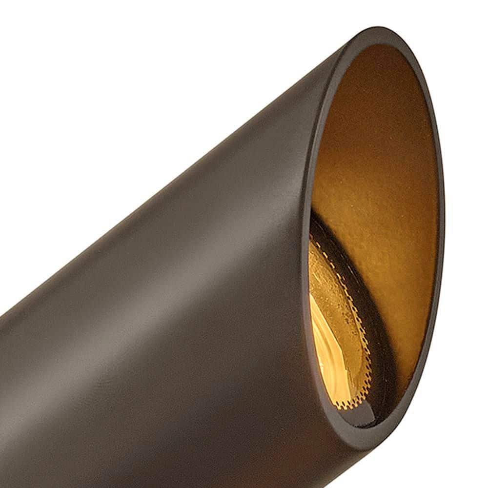 Bronze Low Voltage LED Outdoor Spot Light with Clear Lens