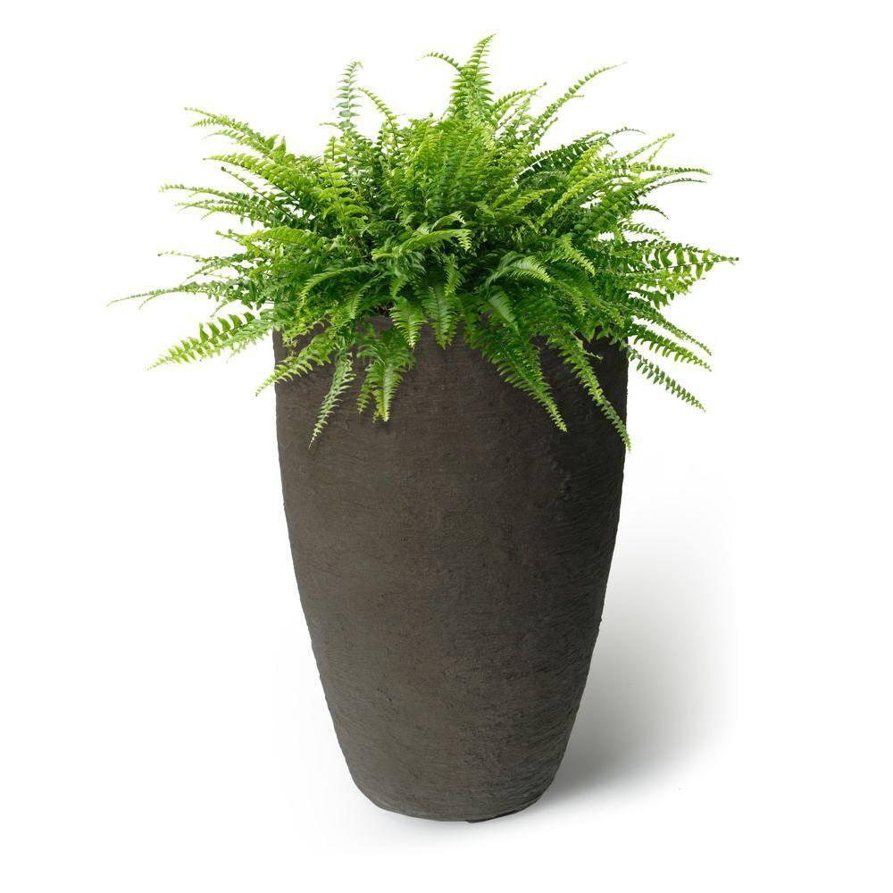 Algreen Products 87311 Athena 20.5 Inch Self Watering Level Indicator Indoor Outdoor Plastic Planter with Overflow Drain, Brownstone