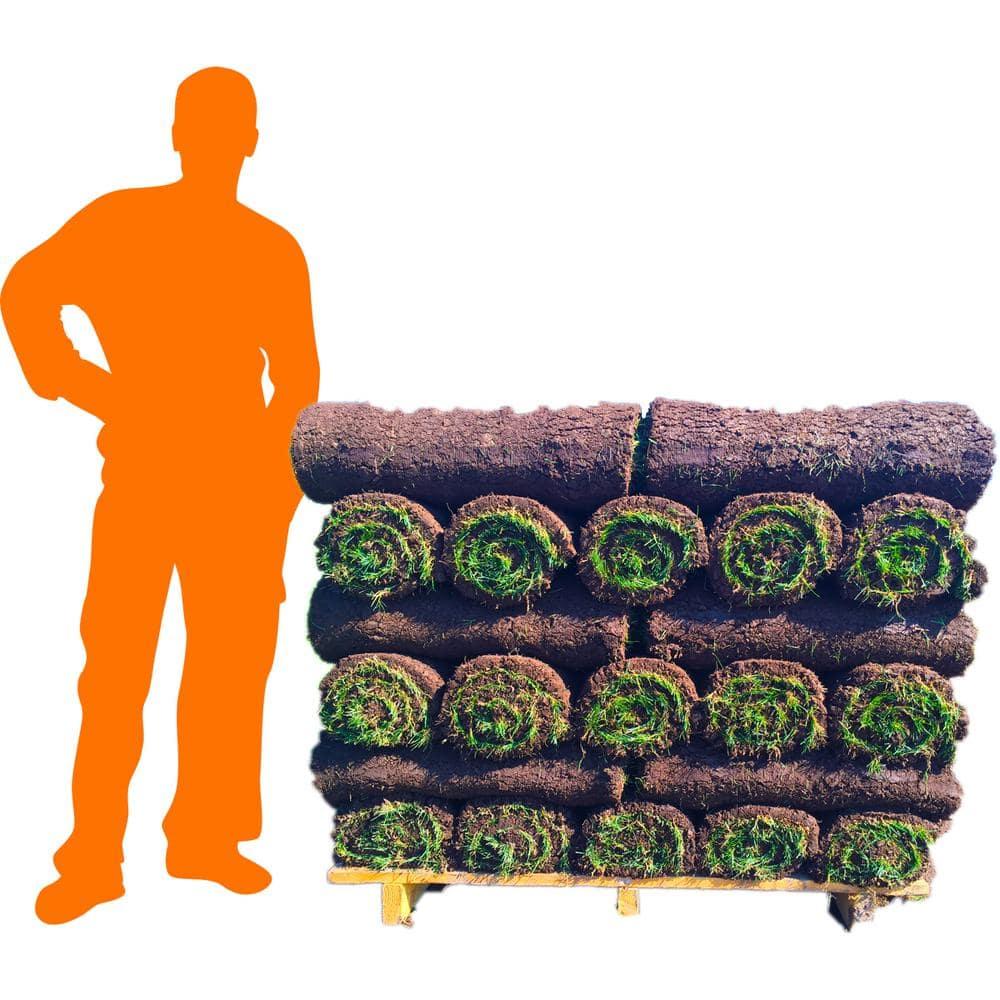 Bluegrass 500 sq. ft. Sod Pallet