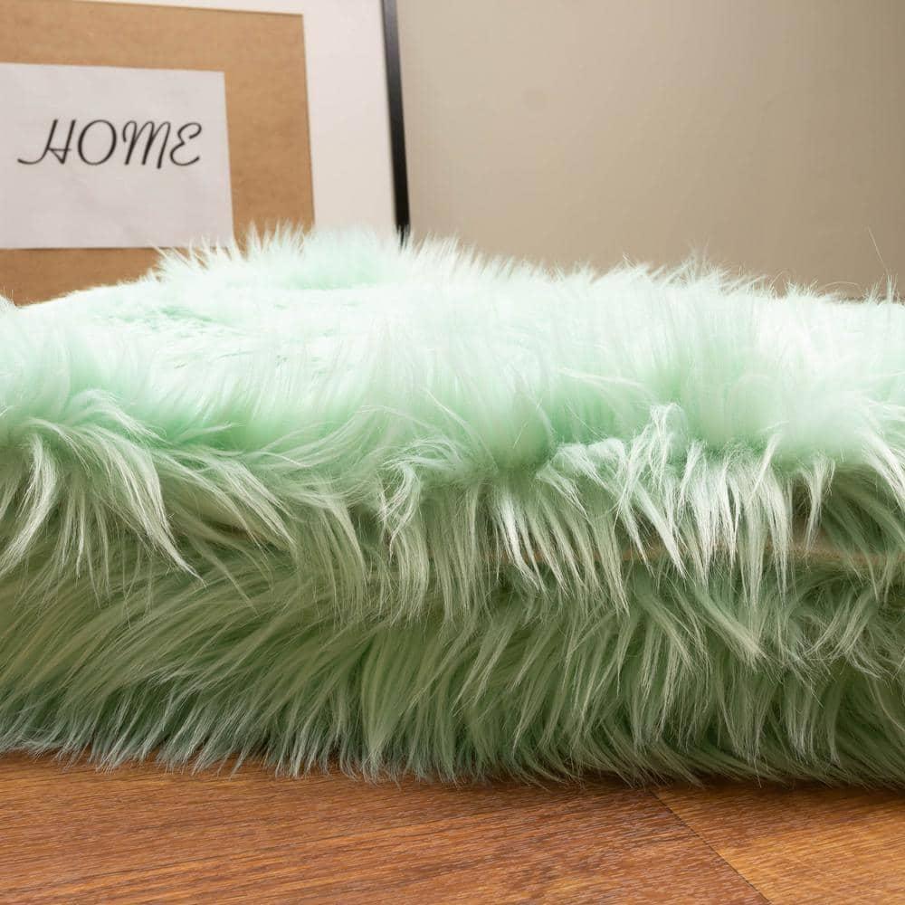 Faux Fur Shag Rug Mint Green - 5' x 7'