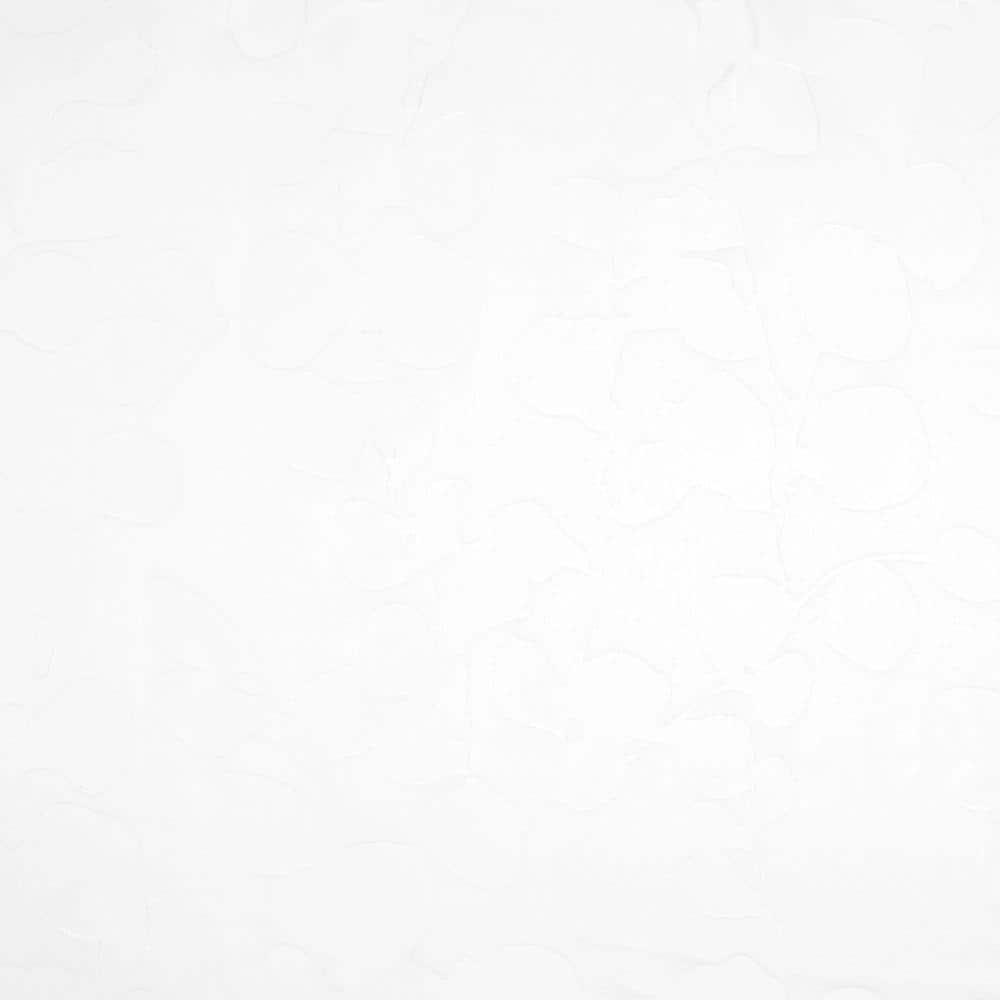 Exclusive Home Wilshire Burnout Sheer Hidden Tab Top Curtain Panel Pair, 54"x108", Winter White