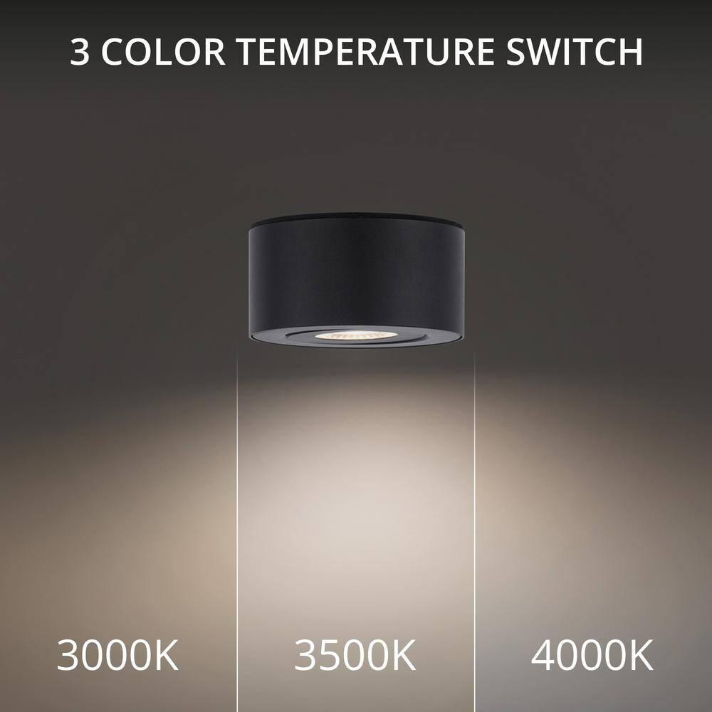 Peek LED Flush Mount