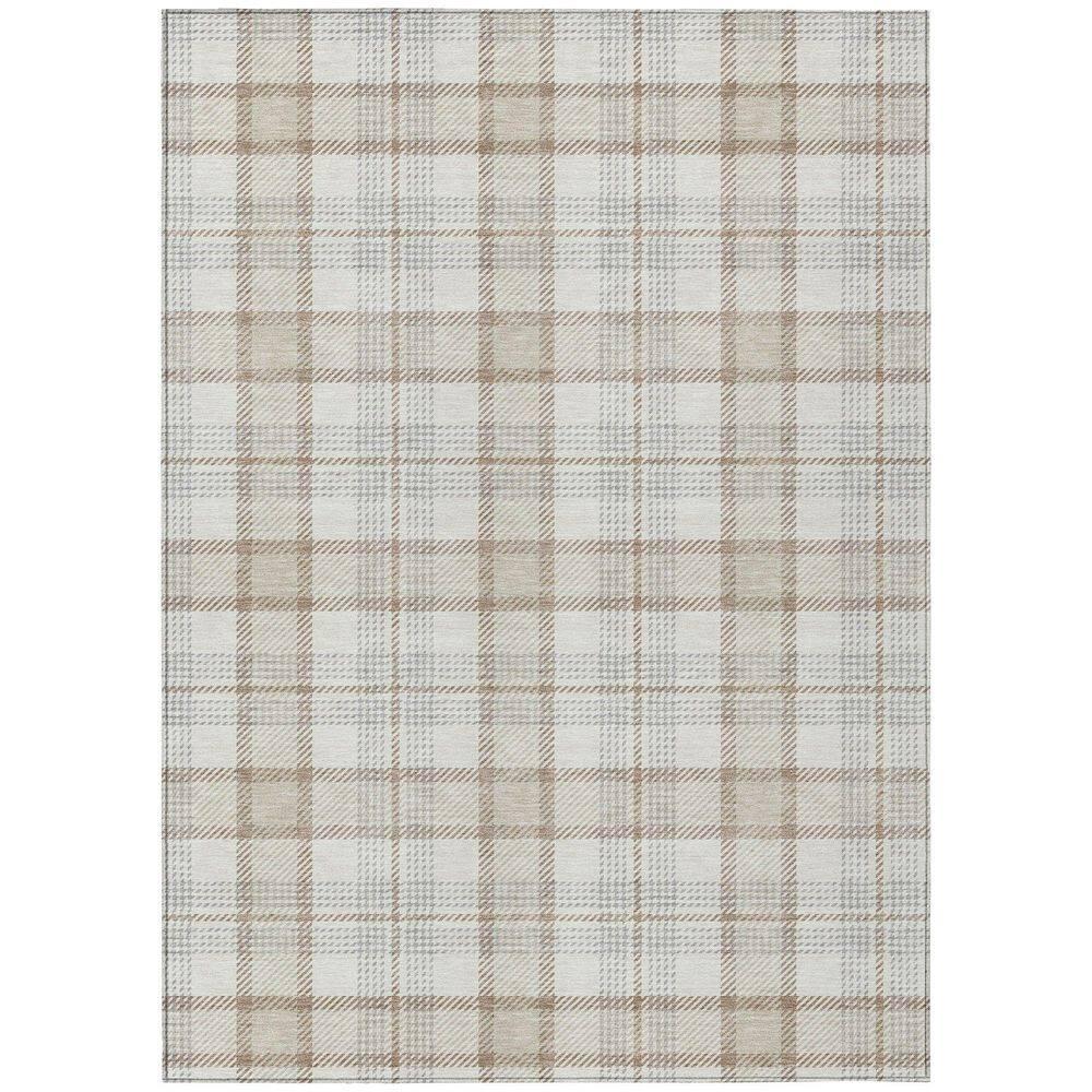Machine Washable Indoor/Outdoor Chayden ACN1052 Rug