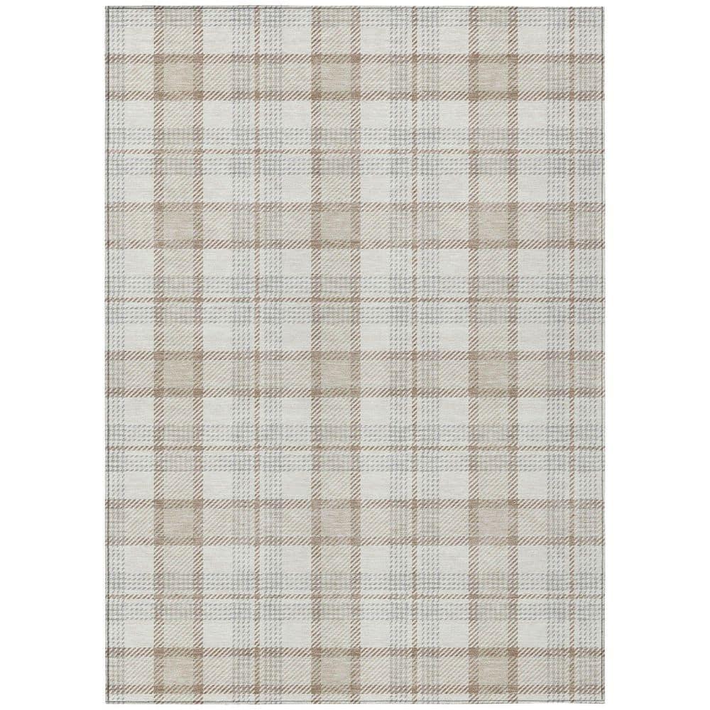 Machine Washable Indoor/Outdoor Chayden ACN1052 Rug
