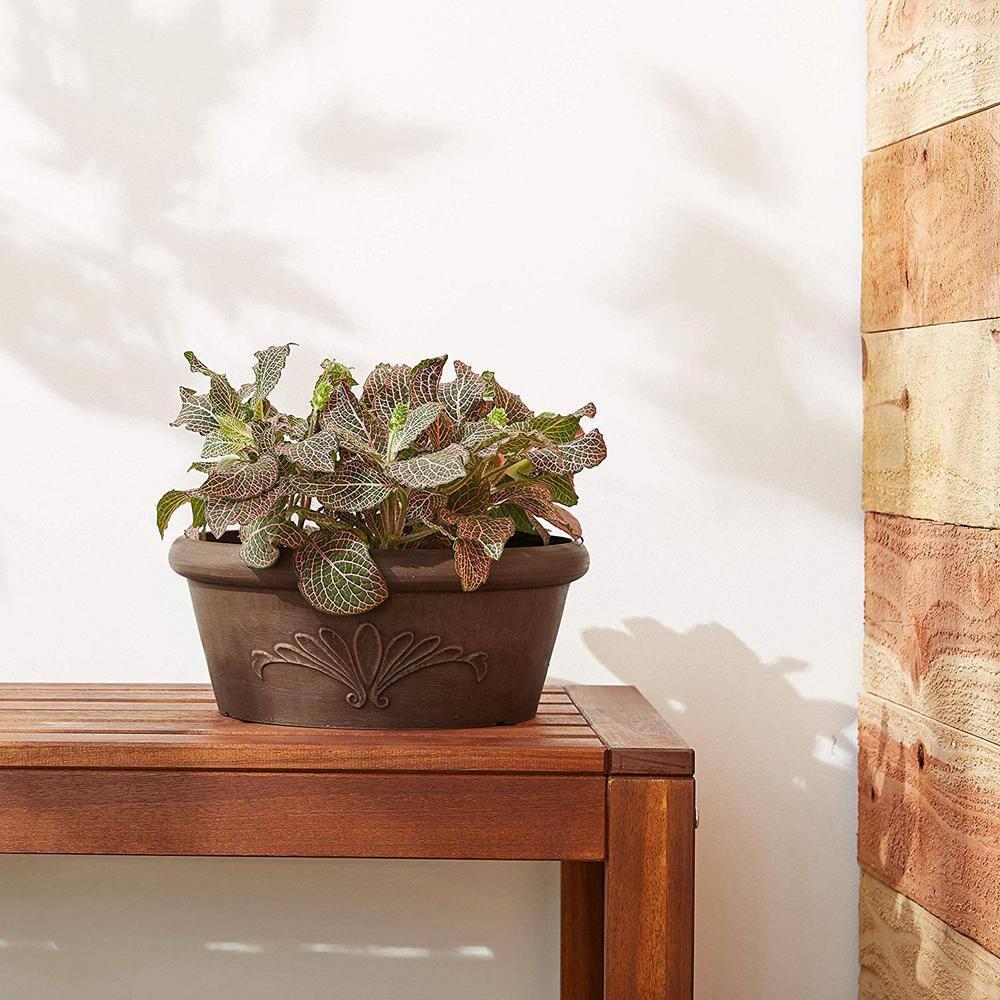 Arcadia PSW Pot TA25C Collection Shallow Bulb Pan Planter Dish Low Bowl for Succulents, Bonsai, Fairy Gardens, Herbs, 10-inch, Chocolate