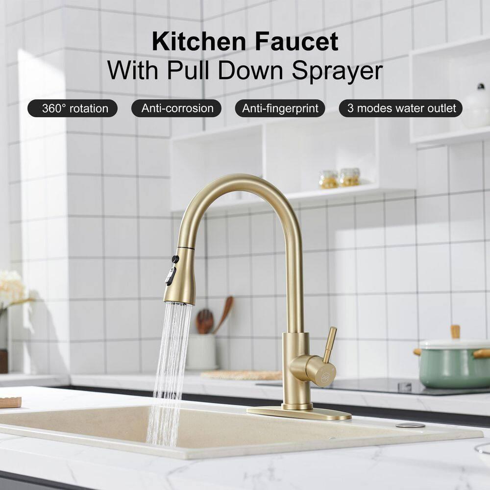 GAGALIFE Single Handle Pull Down Sprayer Kitchen Faucet High Arc Stainless Steel Faucet with 3-Function Sprayer JJL-CL-PT-SDP-G