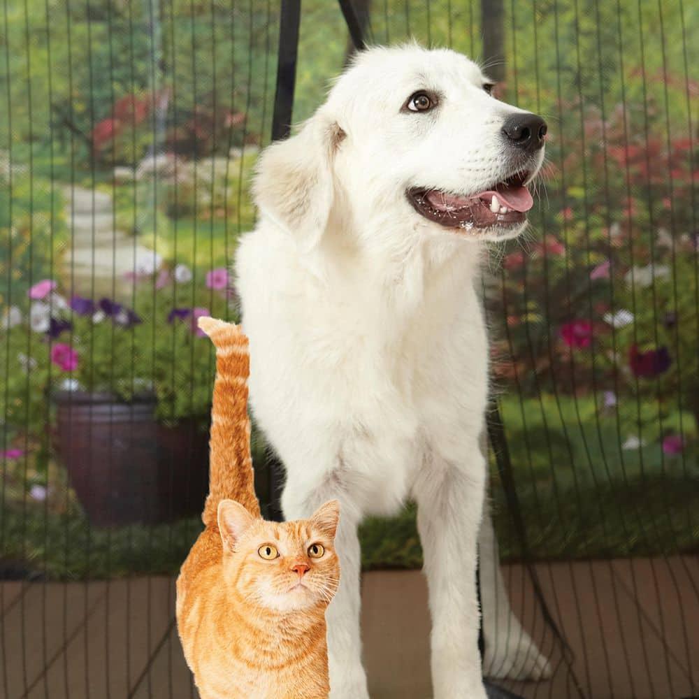 MAGIC MESH Screened Shelters Elite: Magnetic Doorway Screen, Polyester Canopy, Black, Easy Setup, 1 Door