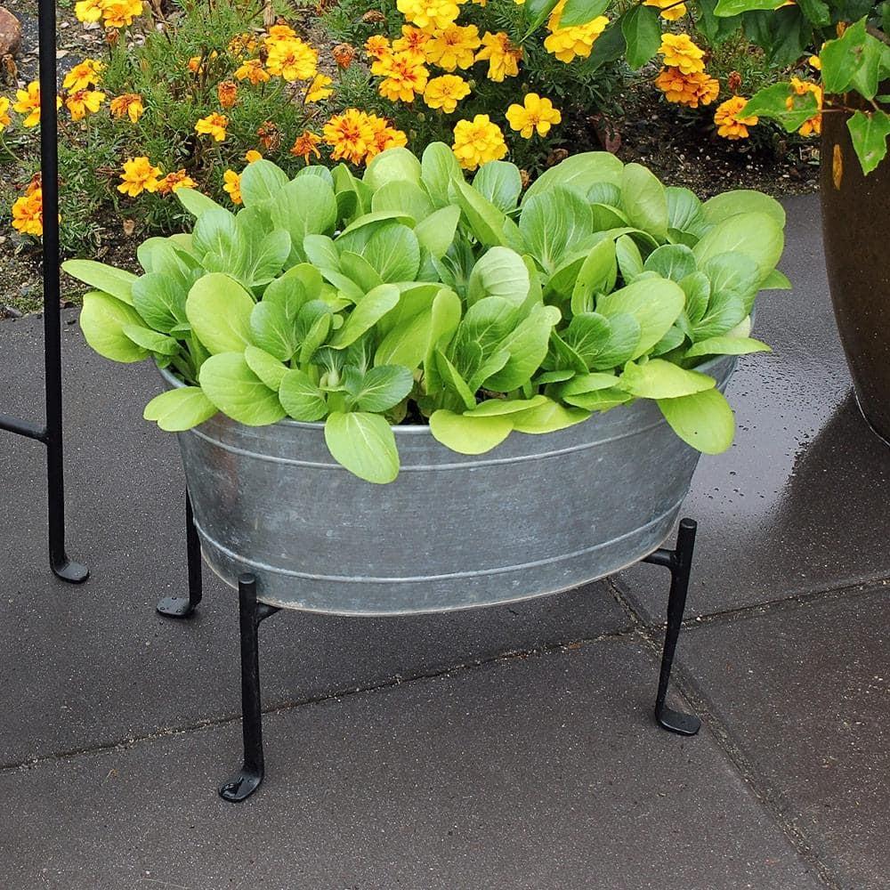 Small Oval Galvanized Tub