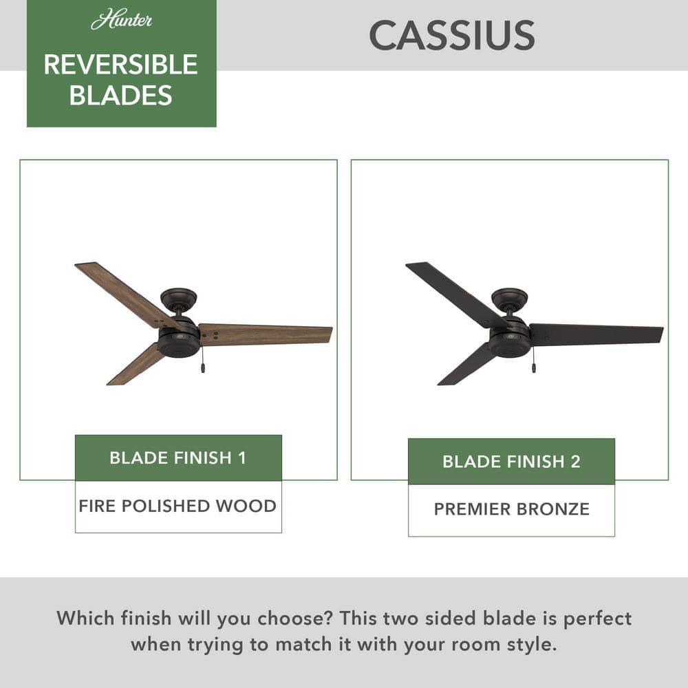52" Cassius 3 - Blade Outdoor Standard Ceiling Fan with Pull Chain
