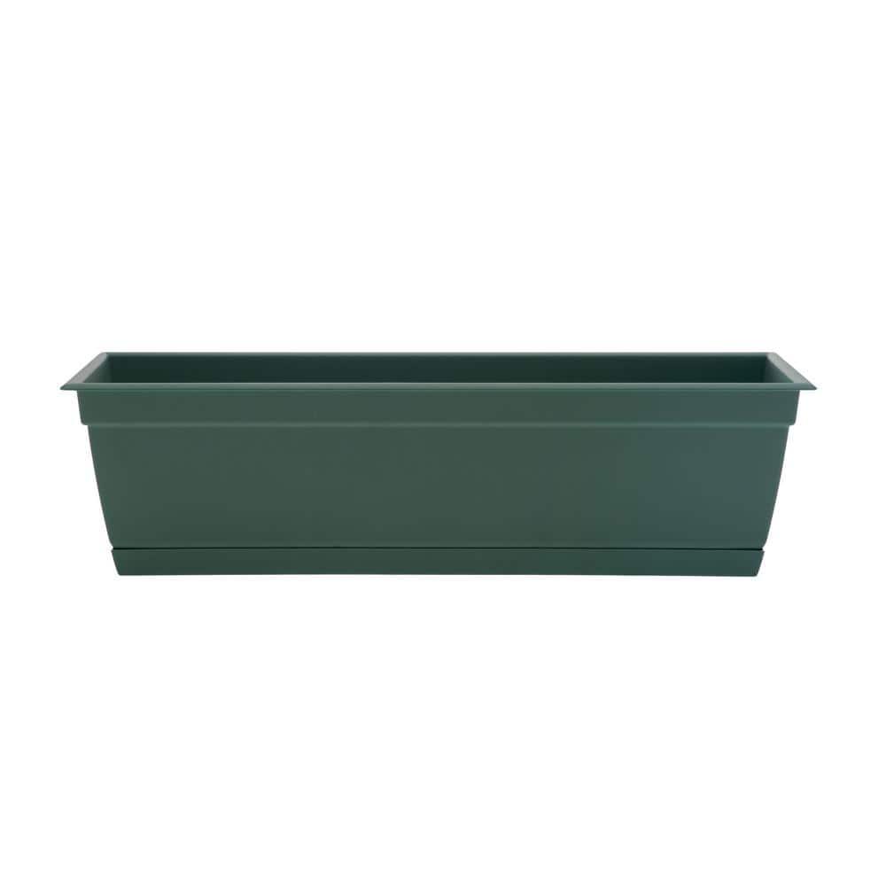 Bloem Dayton 6.87 in. H X 24 in. W Plastic Ocean Series Window Box Turtle Green