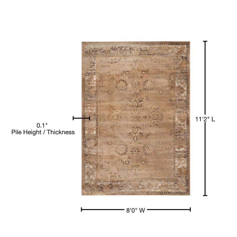 SAFAVIEH Vintage Jaxon Traditional Area Rug, Taupe, 8' x 10'