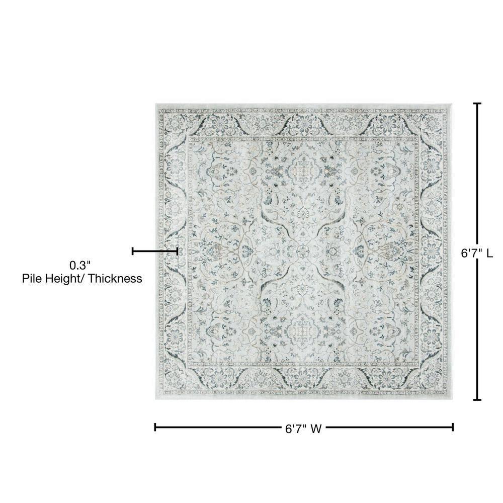 Isabella ISA912 Power Loomed Area Rug - Light Grey/Cream - 6'7"x6'7" - Safavieh.