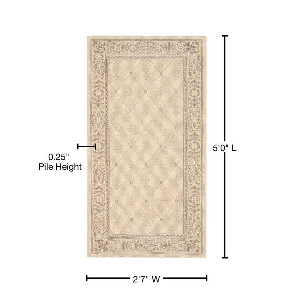 Safavieh Performance Oriental Rug