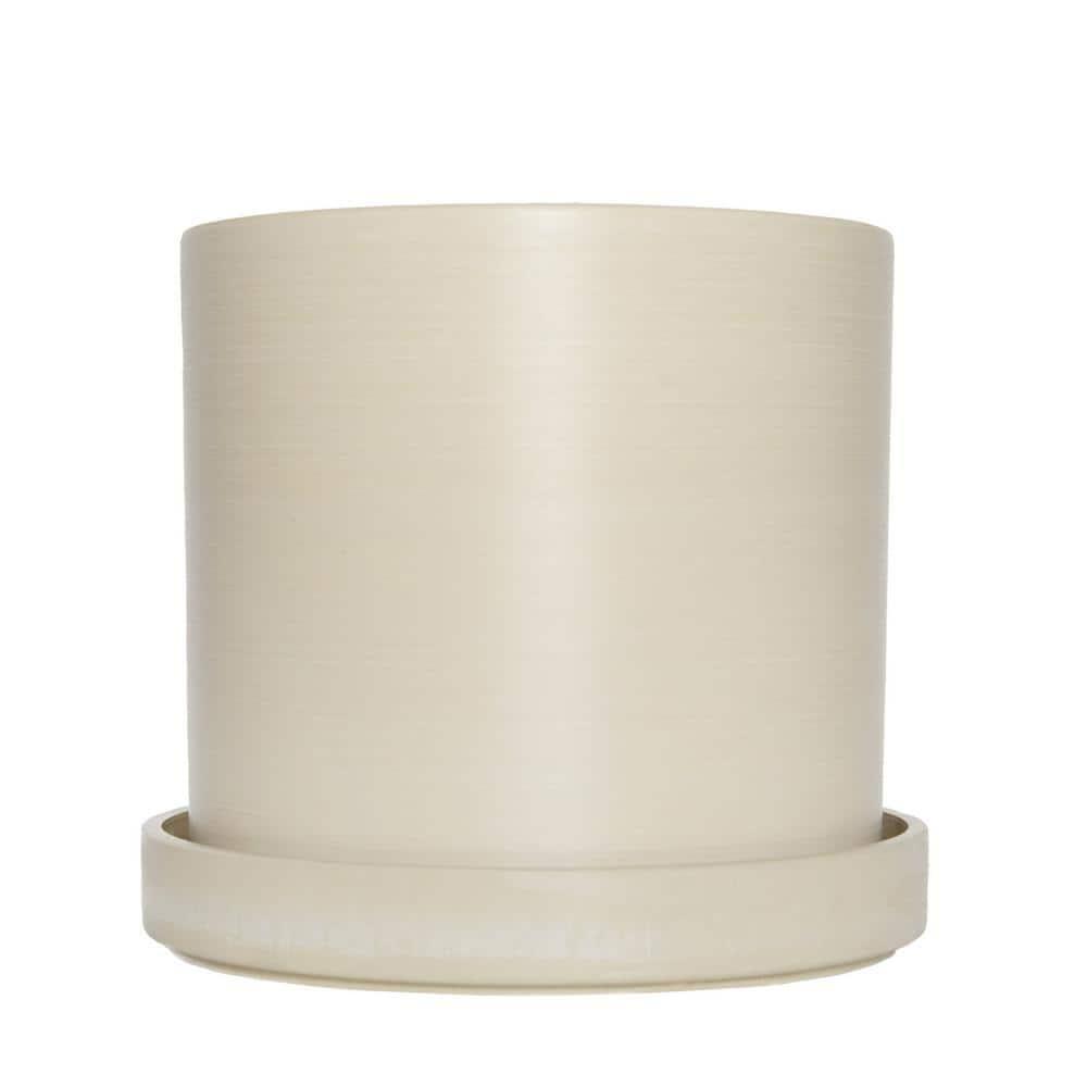 Cream Ceramic 10" Indoor Hoya Carnosa Planter