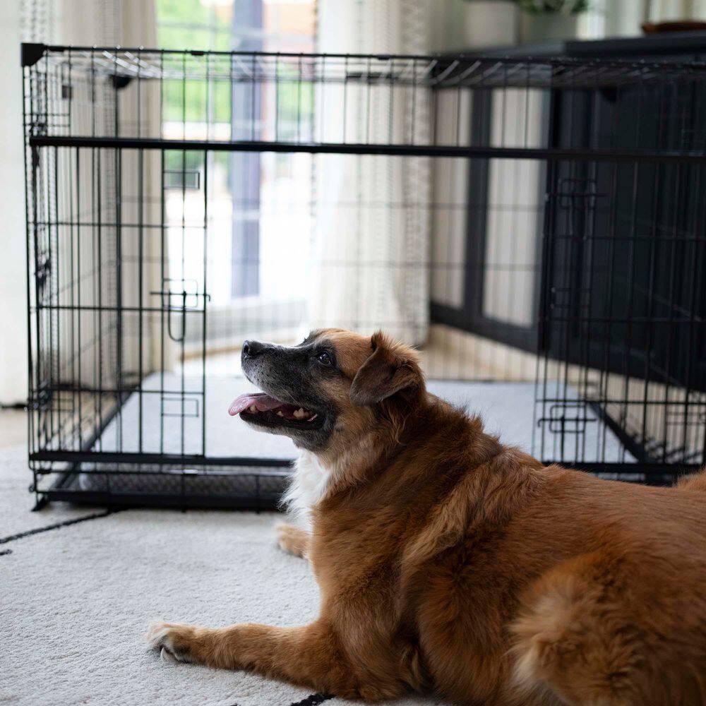 Lucky Dog Sliding Door Crates Pet Crate with Sliding Double Door