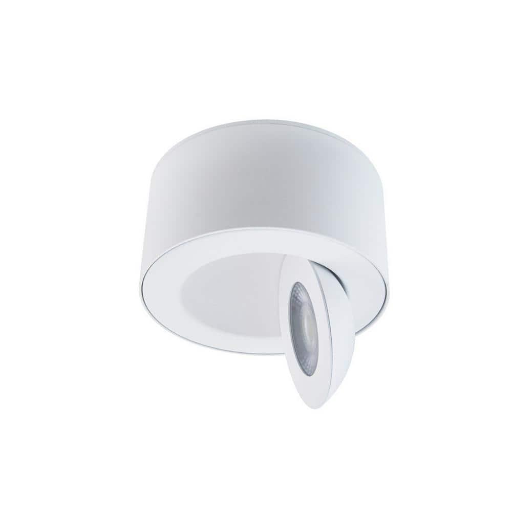 Peek LED Flush Mount